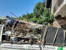 Professional Junk Removal in Chester, NY